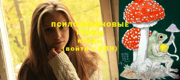эйфоретик Алексеевка