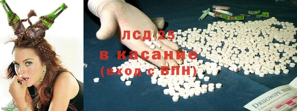 стаф Липки