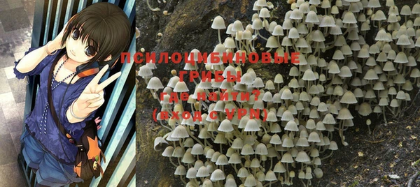 круглые Алзамай