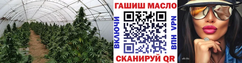 где купить наркоту Холмск ТГК Wax